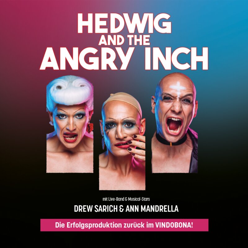 VINDO Hedwig Sujet 2025 QUAD